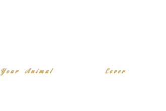 All Aces Tack and Pets