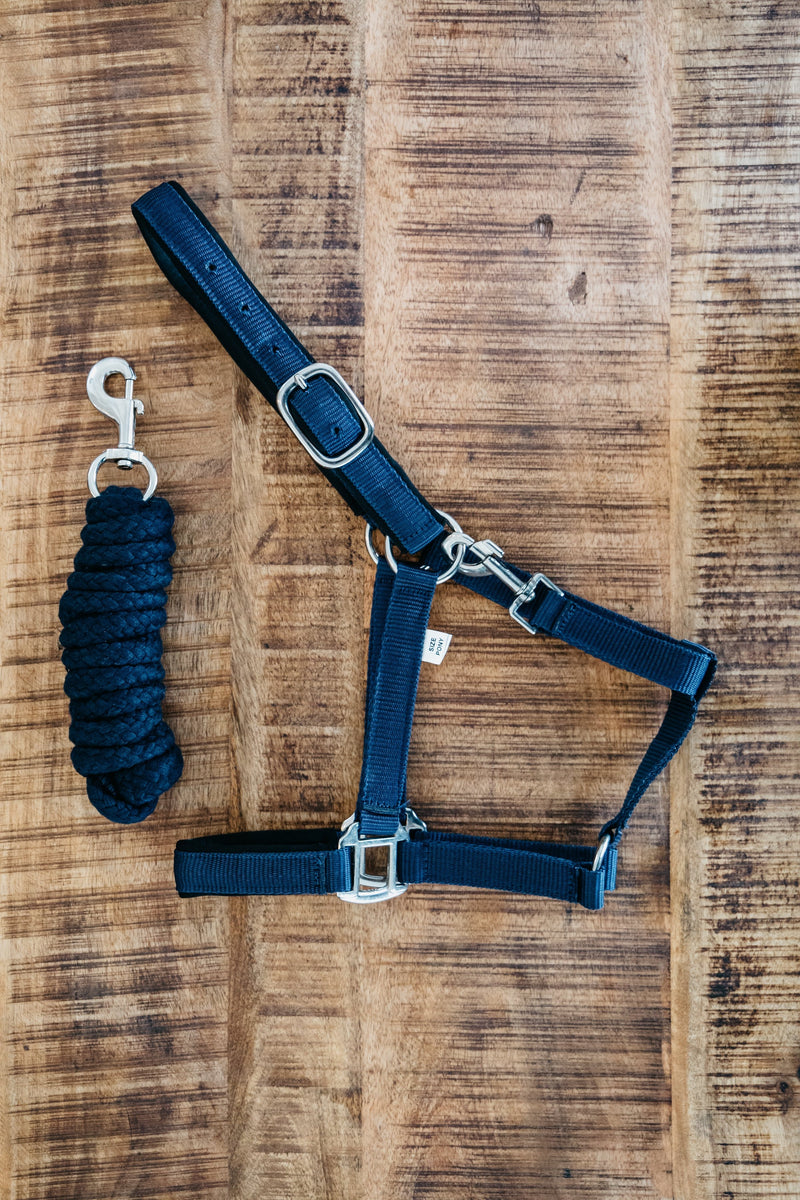 Halter Neoprene Padded w Rope Lead – All Aces Tack and Pets