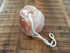 Himalayan Salt Lick