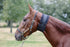 Neck Sweat Stable